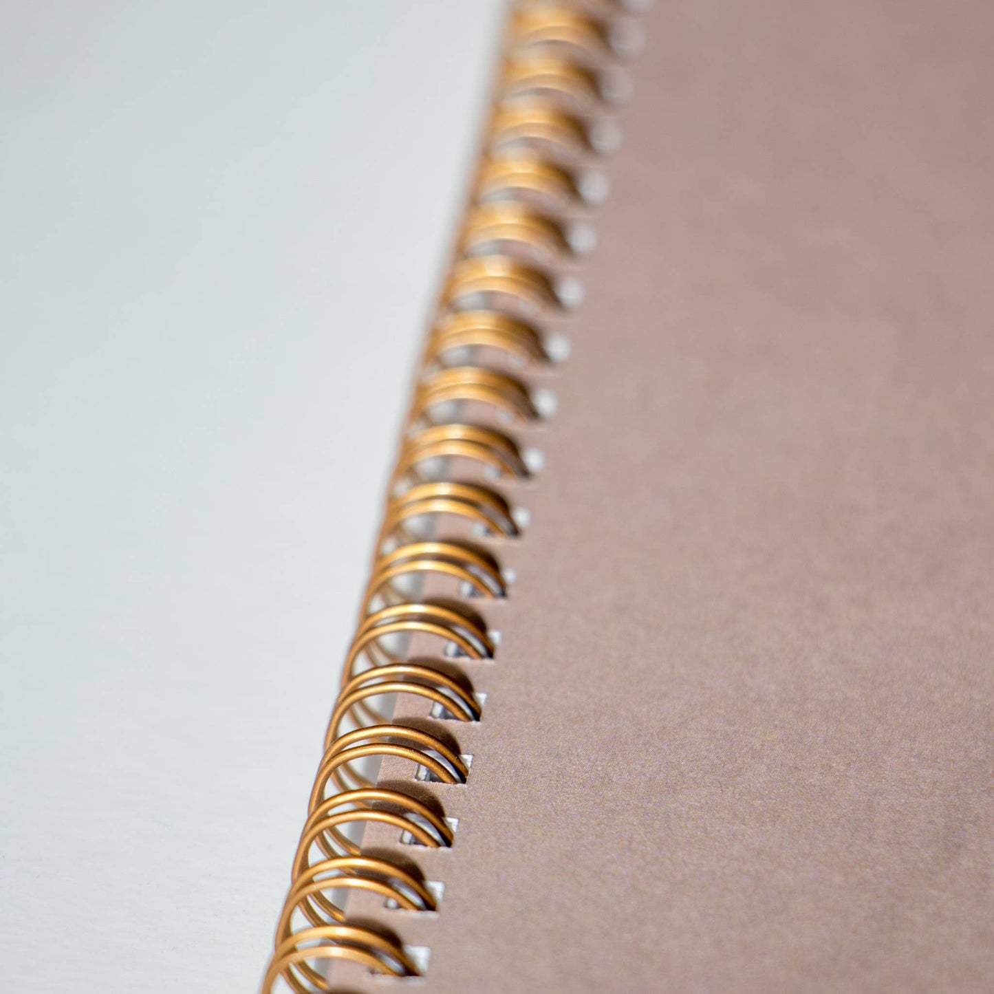 God is Within Her Christian Spiral Softcover  Journal Notebook