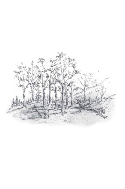A Look at Life from a Deer Stand (Milano Softone)